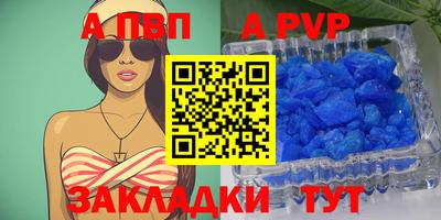 ешки Кингисепп