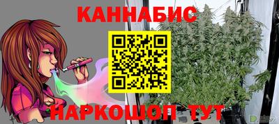 ешки Кингисепп