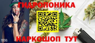 стафф Кинель