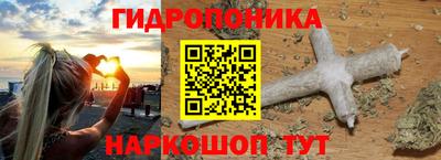 ешки Кингисепп