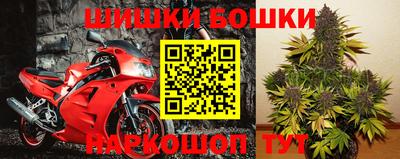 ешки Кингисепп