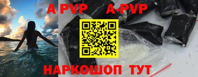 ешки Кингисепп
