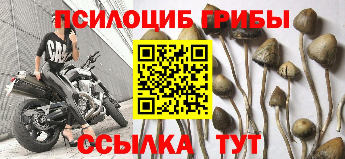 магазин продажи наркотиков  Вход с VPN  Кувандык  Галлюциногенные грибы ЛСД 